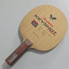 卓球 ラケット Butterfly バゼラート ラバー XIOM ヴェガ ツアー 