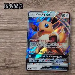 ✨匿名配送✨　イーブイGXのサムネイル