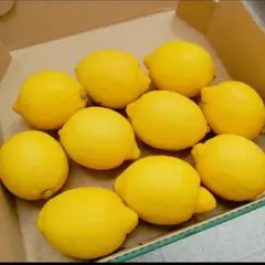 訳あり！産地直送 広島県蒲刈産レモン 1kg - メルカリ