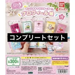 【6種コンプ】豆ガシャ本 サンリオキャラクターズ「プロフィール帳」④