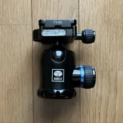 Item thumbnail for item e8ab8342-d4c5-42b9-a0fb-6b5e36c52eef