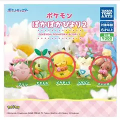 ポケモン ぽかぽかびより2 フィギュア 3体セット