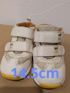 asics　 スニーカー　子供