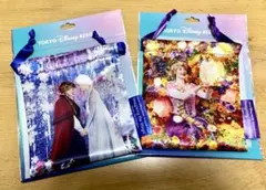ディズニー イマジニング・ザ・マジック 巾着 ラプンツェル・アナ雪セット