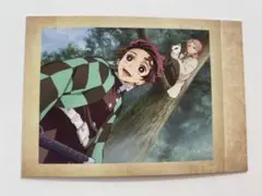 竈門禰豆子 ぱしゃこれ