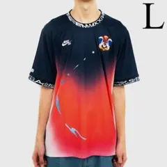 L　NIKE SB USA スケボー Tシャツ ナイキ　グラデーション