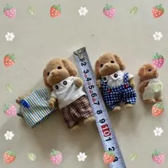 シルバニアファミリー　人形　犬　トイプードル　３点＋着替え（シャツ）男の子セット