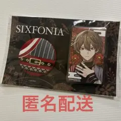 シクフォニ 缶バッジセット お正月限定 アニメイト暇72 暇なつ 缶バッジ