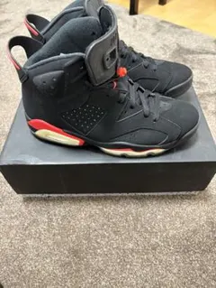 NIKE AIR JORDAN 6 インフラレッド27cm