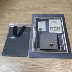 本日限定値下ホリデーレア【未使用袋付】『スタバリザーブロースタリー』3点セット