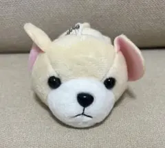 ぬいぐるみ マスコット 犬 チワワ クリーム