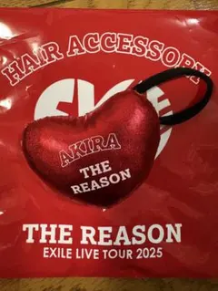 EXILE AKIRA THE REASON ヘアゴム