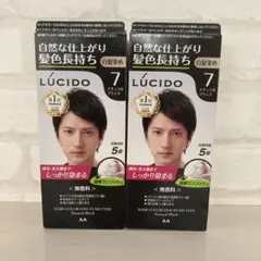 LUCIDO 白髪染め ナチュラルブラック ブラシなし 2個セットのサムネイル