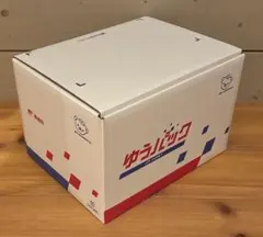 Item thumbnail for item eaf6878c-f3ef-4f00-849e-b18ffc6faa71