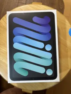 Apple iPad mini (第6世代) スペースグレー 256GB