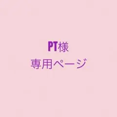 PT様専用☆クレヨンしんちゃん映画ステッカー