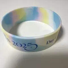 グランブルーファンタジー　グラブルフェス2025 1日目 シリコンバンド
