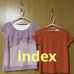 index トップス2枚セットMサイズまとめ売り　 お値下げのサムネイル