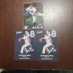 プロ野球チップスカード13枚(西武)