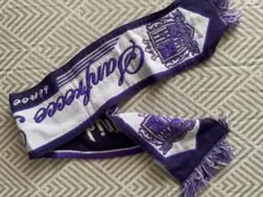 サンフレッチェ 応援グッズ