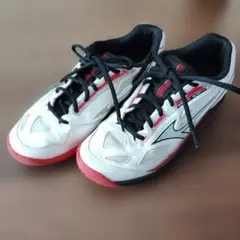 MIZUNO BREAK SHOT 4 テニスシューズ オールコート 25cmのサムネイル