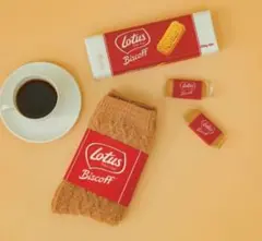 美品　ジェラートピケ　ロータスコラボ　上下セット　セットアップ 美品 ジェラートピケ ロータスコラボ 上下セット セットアップ
