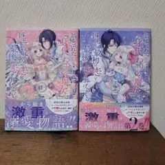 誤解された『身代わりの魔女』は、国王から最初の恋と最後の恋を捧げられる 2冊