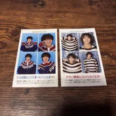 証明写真　TVガイド　橋本涼