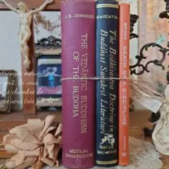 A987 お洒落な組み合わせ ヴィンテージ 洋書 ディスプレイ インテリア