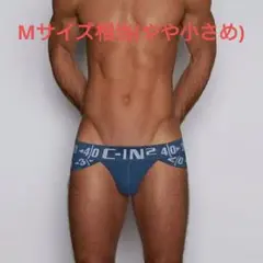 C-IN2 ブリーフ