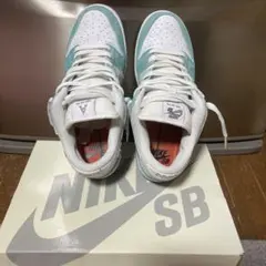 ナイキ SB ダンク LOW PRO QS FD2562-400