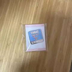 seventeen ファンクラブ入会特典 ピンバッジ