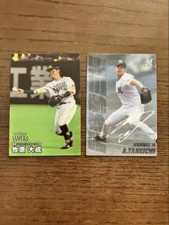 プロ野球カード　種市篤暉 牧原大成　 WBC日本代表　侍ジャパン
