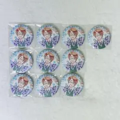 ヘタリア アメリカ フラワーパレード 缶バッジ 80個セット ヘタリア アメリカ フラワーパレード 缶バッジ 80個