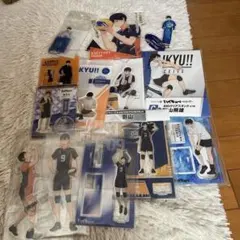 影山飛雄 アクスタ バラ可能