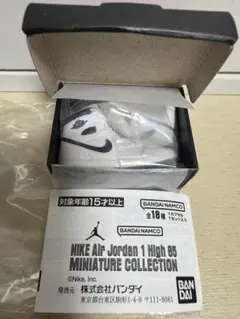 NIKE Air Jordan 1 High '85 ミニチュアコレクション