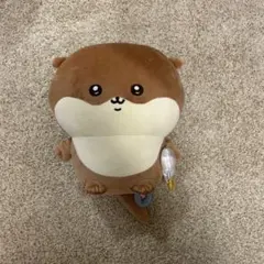 2026年最新】ナガノカワウソB賞の人気アイテム - メルカリ