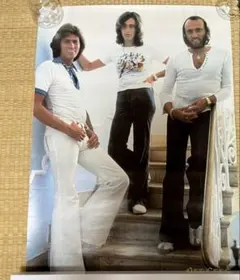 Item thumbnail for item 40804d66-edfd-4c88-884b-d0e0c00f2995