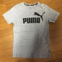 PUMA グレー Tシャツ 160