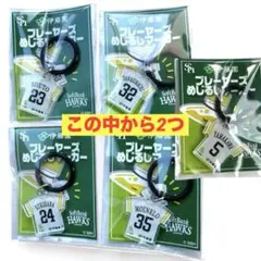 【即発送】ソフトバンクホークス めじるしマーカー(5種類の中から2つ)