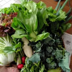 新鮮な野菜詰め合わせ８０サイズ