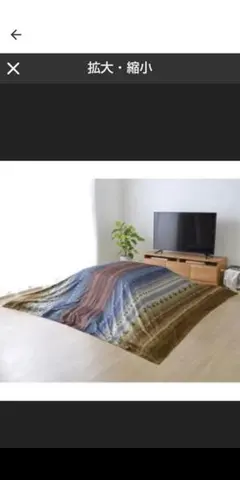 イケヒコ ギャッベ柄 こたつ布団 上掛け 長方形 掛け単品 約210×250cm