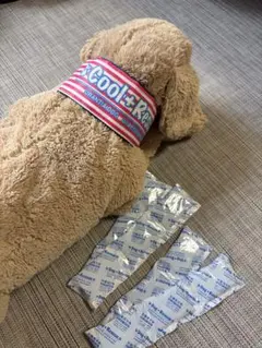 セール！COLLARS ペット犬用 エアリーベスト リバーシブル 2点 新品