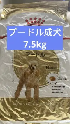 Item thumbnail for item e127aa33-04e1-4735-b2ba-4b77fe50dc45