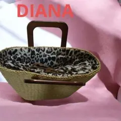 DIANA ダイアナ 夏 ウッドハンドル スカーフ かごバッグ - メルカリ