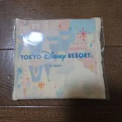 JALオリジナル　東京ディズニーリゾート　エコバックのサムネイル