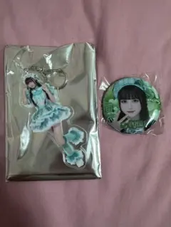 2025年最新】アクキー 若葉のあの人気アイテム - メルカリ