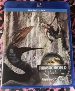 シェル様専用 復活の大地 Blu-ray のみ