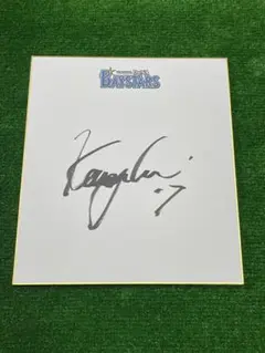 横浜DeNAベイスターズ サイン集 記念グッズ
