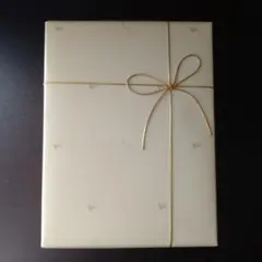 Item thumbnail for item 9bf1bb06-4a6e-4196-8d6e-9d2ea2897897